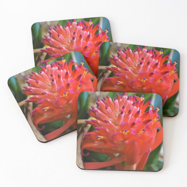 Item preview, In Bloom 2 designed and sold by Ivan Fernandez.