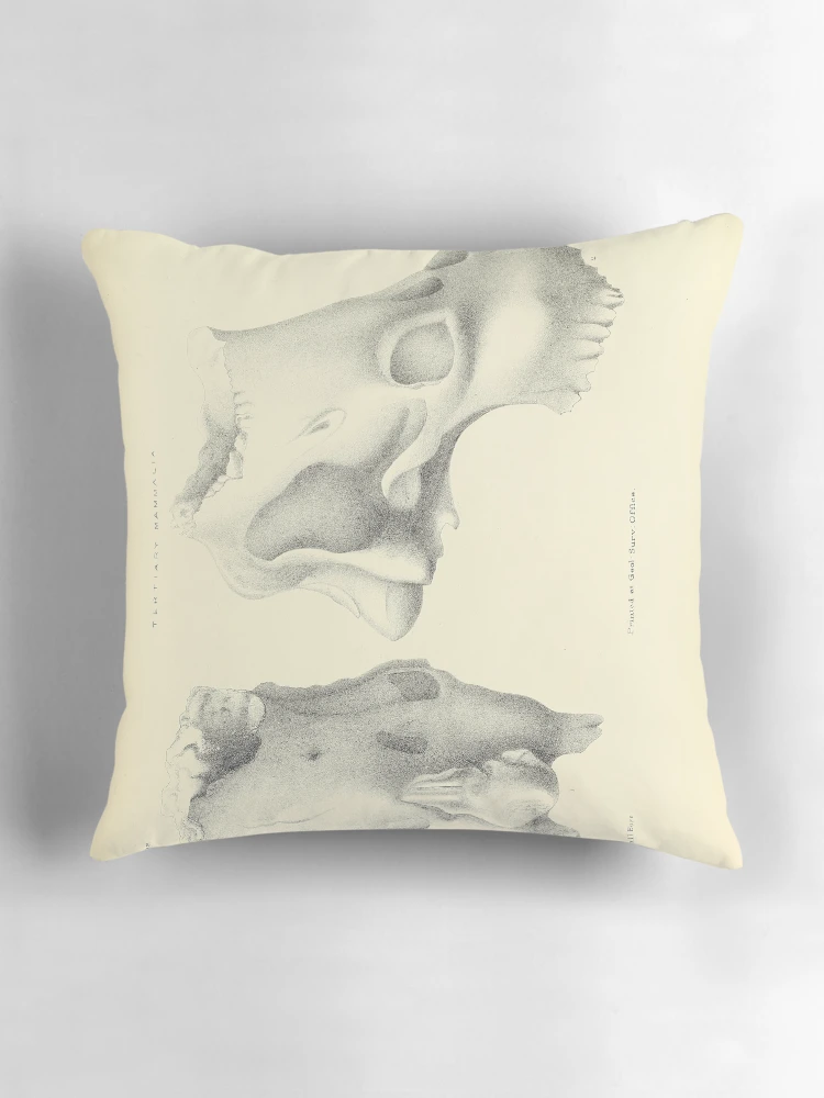 Aperçu 3 sur 4. Coussin avec l'œuvre Indian Tertiary and post Tertiary... créée et vendue par Rodeoclash.