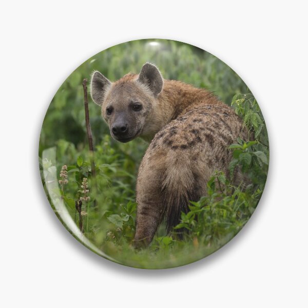 Item preview, Spotted Hyena (Crocuta crocuta) designed and sold by Yair Karelic.