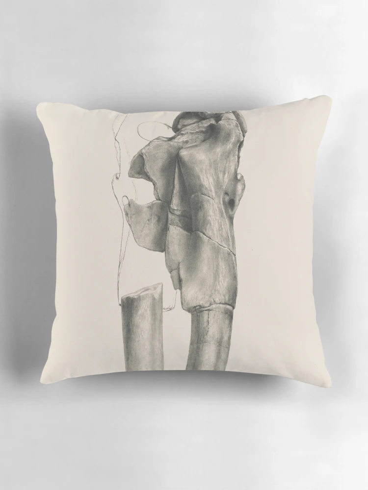 Aperçu 3 sur 4. Coussin avec l'œuvre Fauna antiqua sivalensis being the... créée et vendue par Rodeoclash.