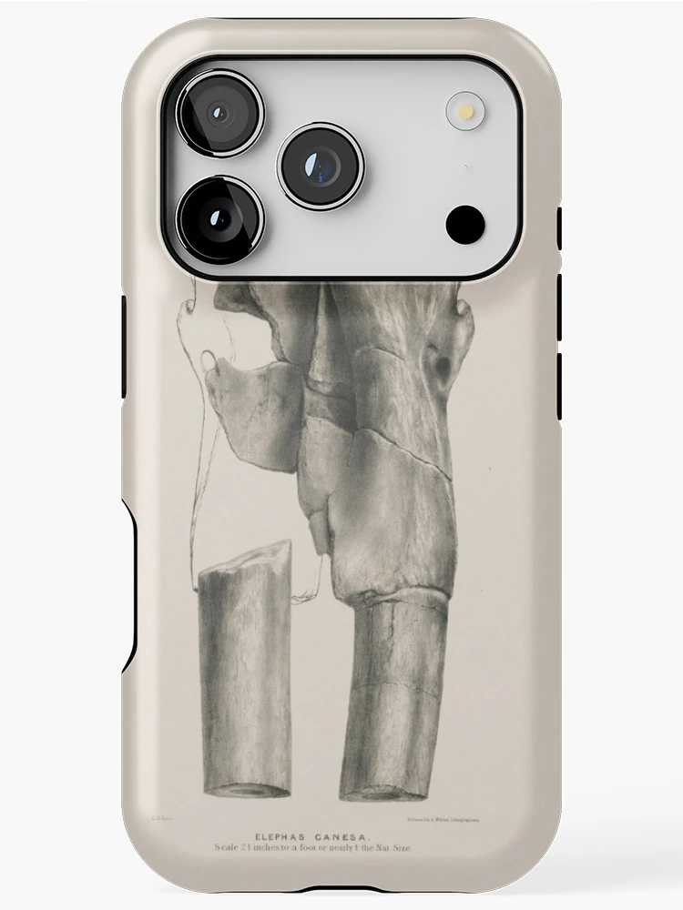 Imagen 1 de 4, Funda de iPhone con la obra Fauna antiqua sivalensis being the..., diseñada y vendida por Rodeoclash.