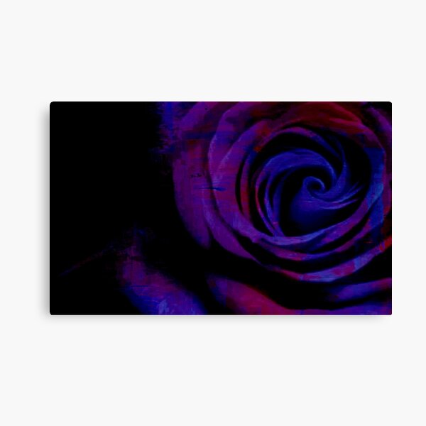 Close Up Of A Rose - Digitally Manipulated Photography Canvas Print