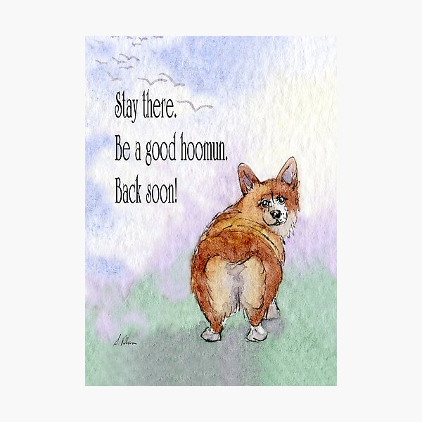 Item preview, Stay there hoomun! Corgi on a walk. designed and sold by SusanAlisonArt.