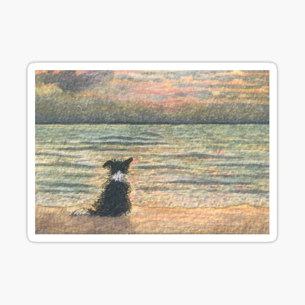 A Border collie dog gazes out over the ocean watching the sun come up, greeting the morning Sticker