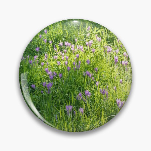 Item preview, Meadow Abundance - Delicate Crocuses and Grass Blades in the Sunshine designed and sold by Georgia Mizuleva.