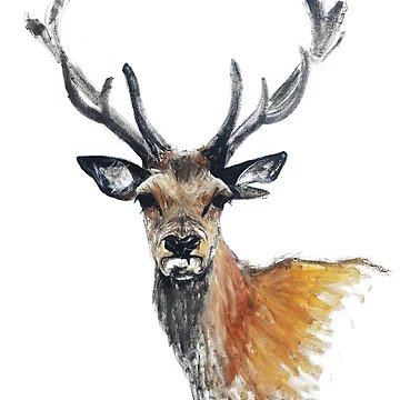 Artwork thumbnail, Stag by RJArts