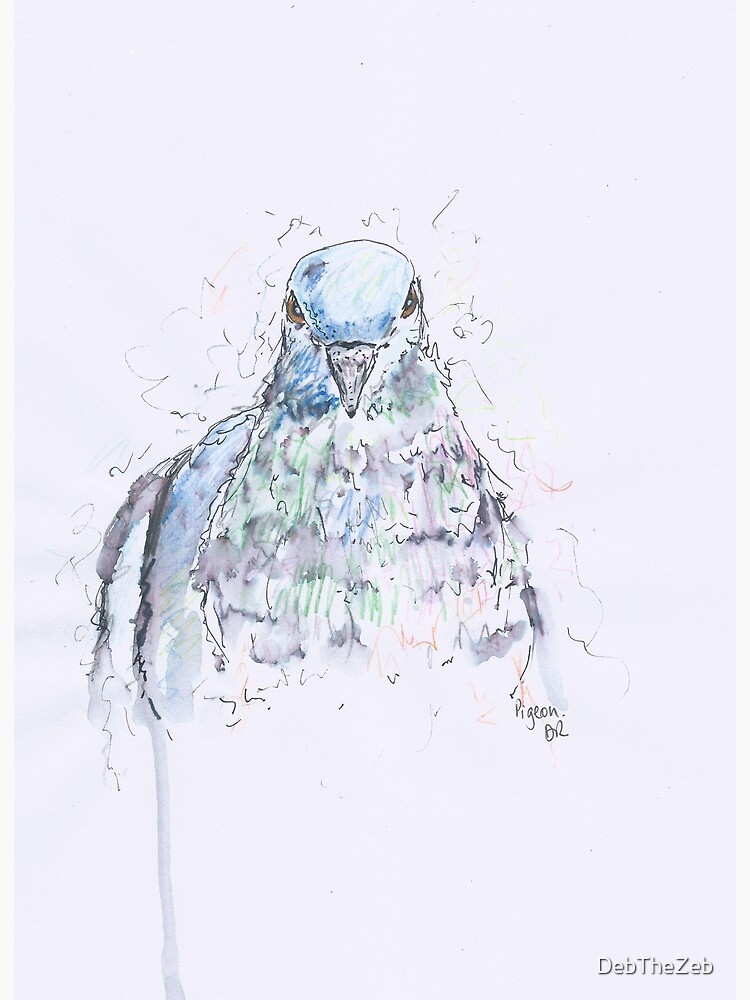 pen and watercolour pencil pigeon drawing art board print by debthezeb redbubble redbubble