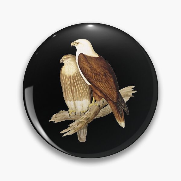 Item preview, White breasted eagle designed and sold by headpossum.
