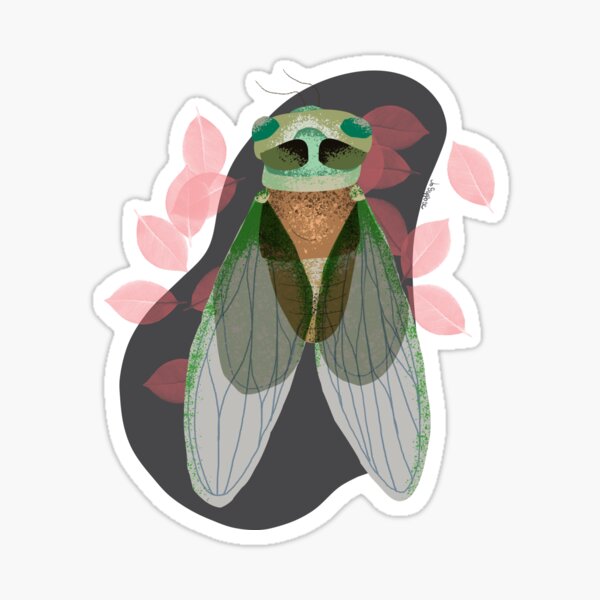 1/100 Cicada Sticker