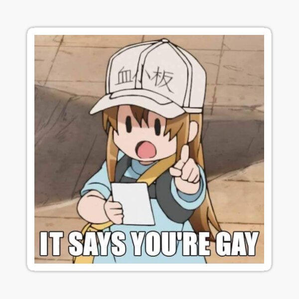 how i know youre gay meme