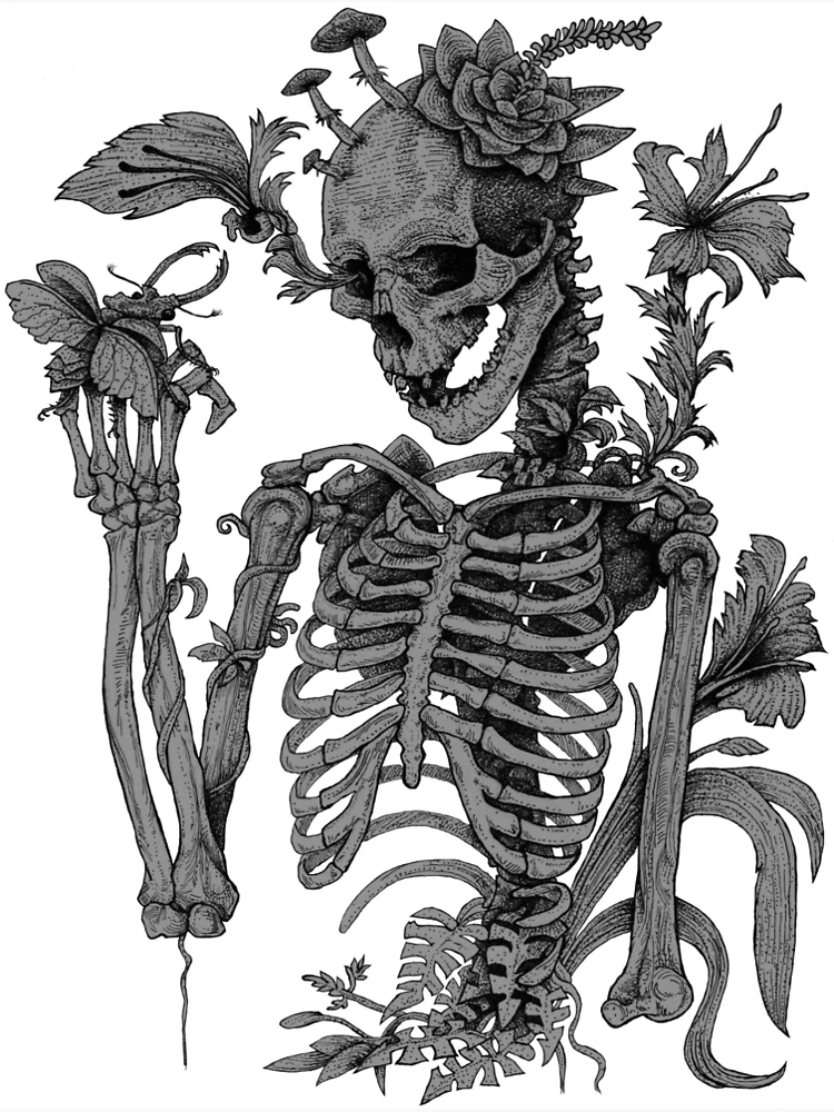 Crescent x Skeleton! Florist! Reader