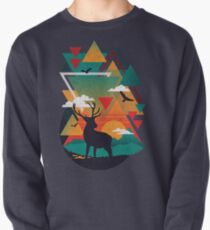 New Ridges Pullover