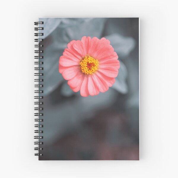 Item preview, Single Pink Zinnia Flower Grey Background designed and sold by 104paul.