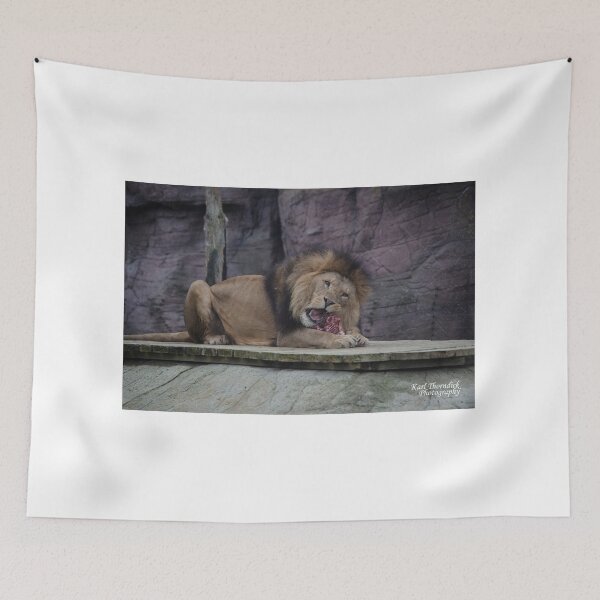 Item preview, Copy of lion  designed and sold by karlthorndick.