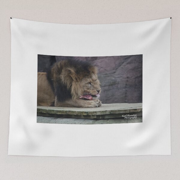 Item preview, lion  designed and sold by karlthorndick.