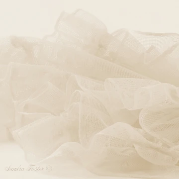 Artwork thumbnail, Lace And Ruffles Tablecoth In Sepia by Sandra Foster