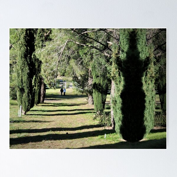 Item preview, A walk and the ghost tree designed and sold by csouzas.