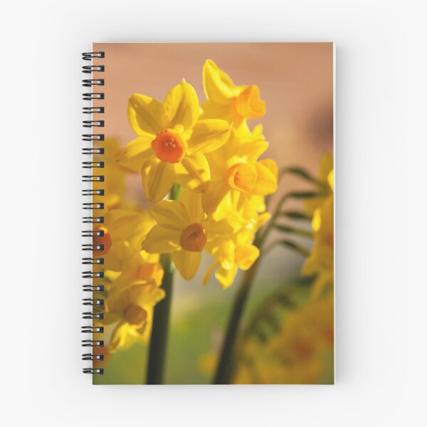 Item preview, Daffodils designed and sold by Lawrence Woolston.