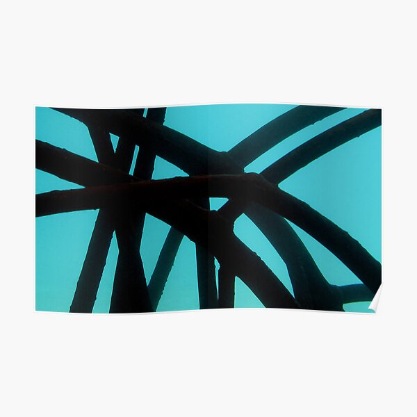 Y-Frame in Mangrove Poster