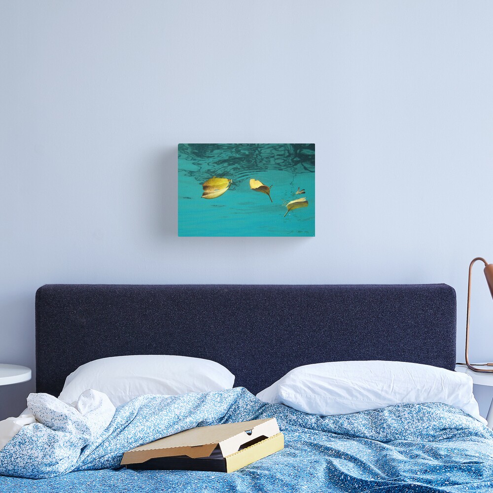 Three and a Flower Canvas Print