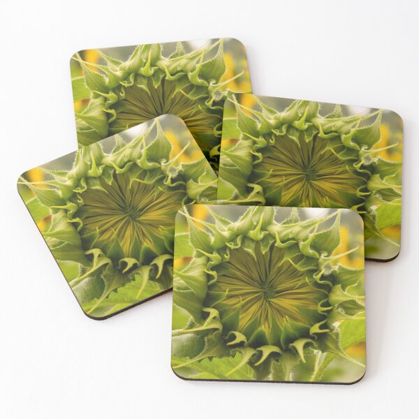 Item preview, Getting Ready to Bloom designed and sold by Ruth Curtis.