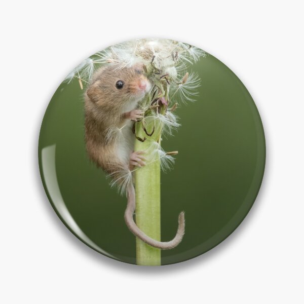 Item preview, Hide & Seek mouse  designed and sold by Dean Mason.