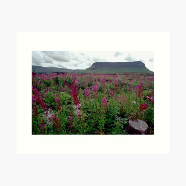 Item preview, The famous profile of Ben Bulben County Sligo. designed and sold by Dermot O' Dowda.