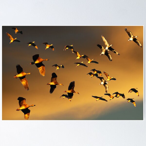 Item preview, Wetland Whistling designed and sold by byronbackyard.