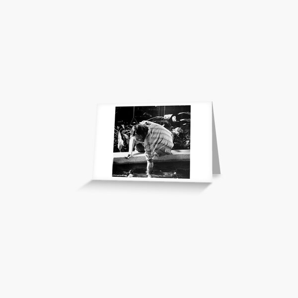 What's In The Water George? Greeting Card