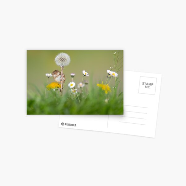 Item preview, Dandelions & Daisies mouse designed and sold by Dean Mason.