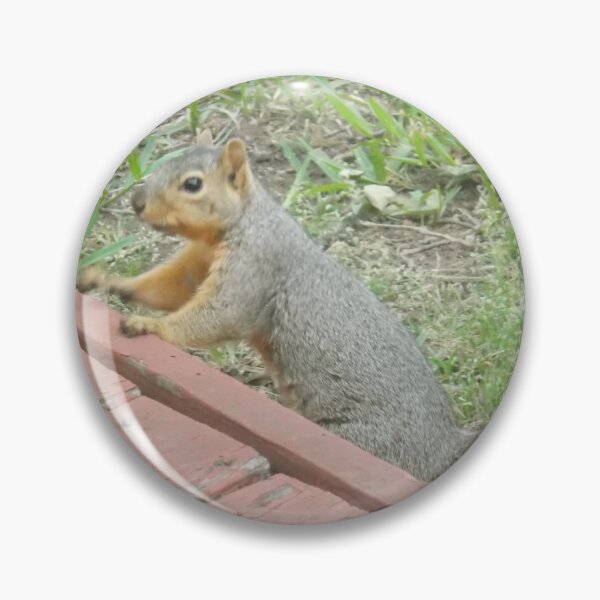 Item preview, If You Give a Squirrel a Photo Op  designed and sold by JaylonSimmons.