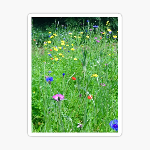 Item preview, Wildflower Meadow designed and sold by Antoinette Hensey.