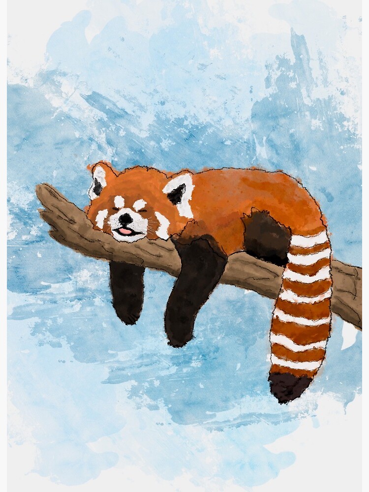 Napping Red Panda Art Board Print By Nothingserious Redbubble