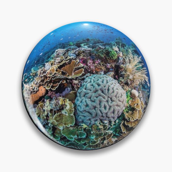 Item preview, Coral Reef designed and sold by sebway2go.
