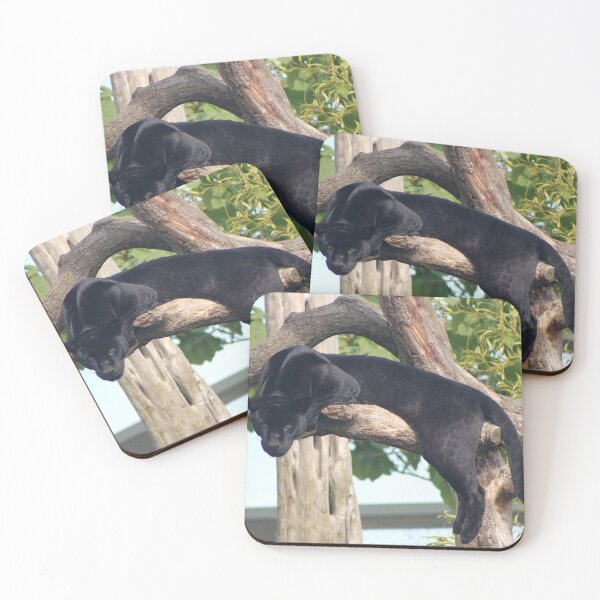 Item preview, Hanging Around designed and sold by Hann Regan  Photography.