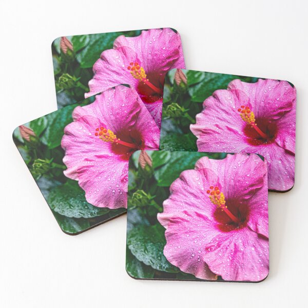 Item preview, "Pink Hibiscus" Image by Rich AMeN Gill designed and sold by RichAMeNGill.