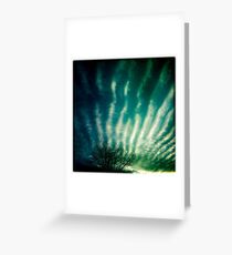 Sea Shell Sky Greeting Card