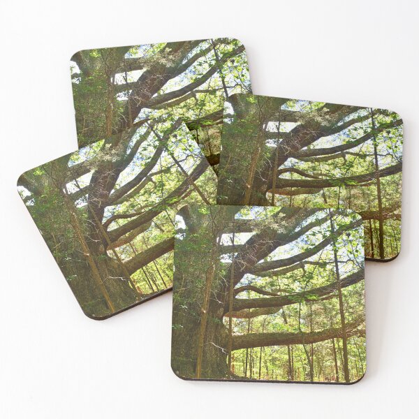 Item preview, Strong And Mighty designed and sold by LisaWootenPhoto.