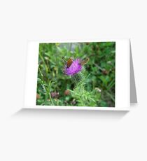 SKIPPERS IN THISTLE Greeting Card