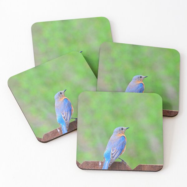 Item preview, Perched Bluebird Vertical designed and sold by LisaWootenPhoto.