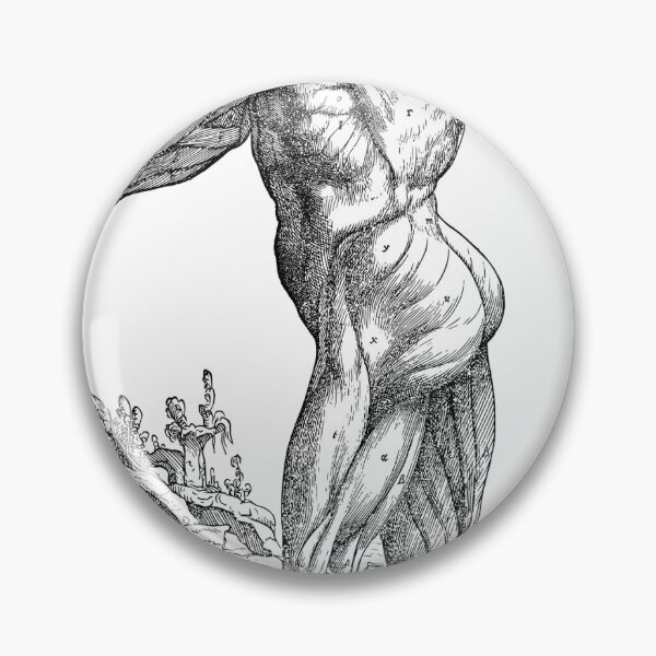 Item preview, Musculature Anatomy  designed and sold by Reethes.