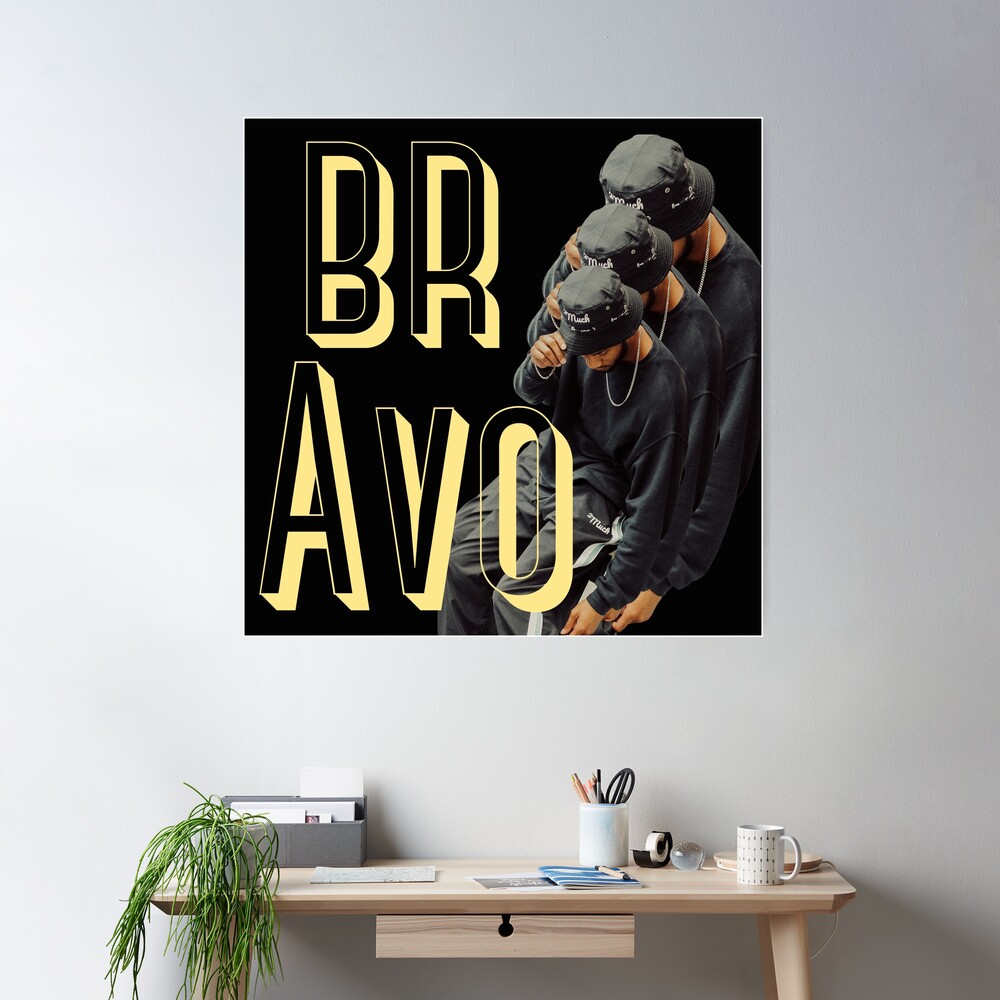 @ty_bravo / spr 20' Poster