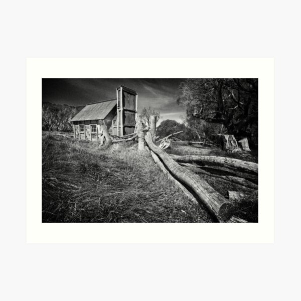 Art Print