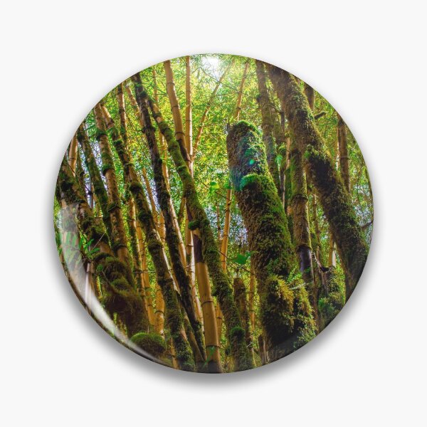 Item preview, Bamboo Rising designed and sold by davidwatkeys.