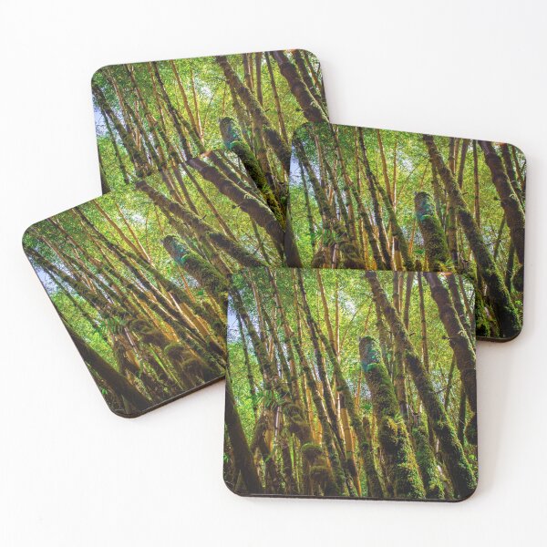 Item preview, Bamboo Rising designed and sold by davidwatkeys.