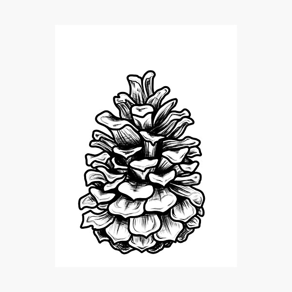 Item preview, Pine cone  designed and sold by EarthlingAria.