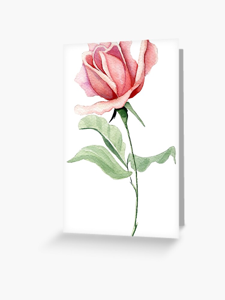 Birthday Greeting Card - Single Pink Rose - Happy Birthday - Beautiful Pale  Pink - Blank Inside - Original Watercolour Art (Modern Text) :  : Stationery & Office Supplies