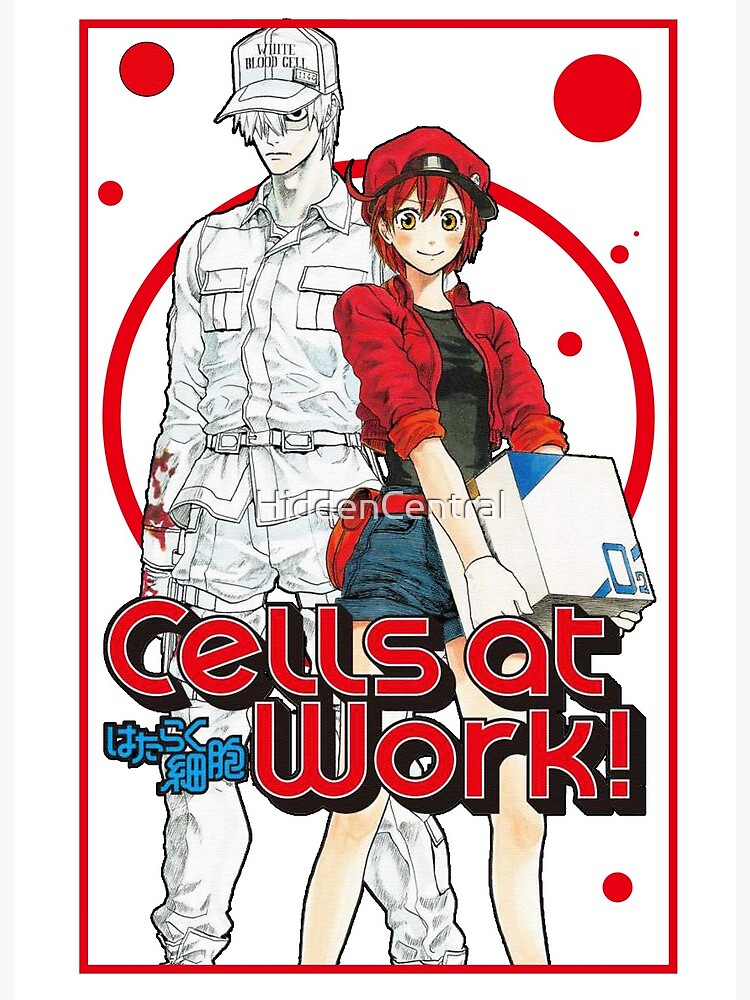 Cells At Work!  Cell, Anime, Character art