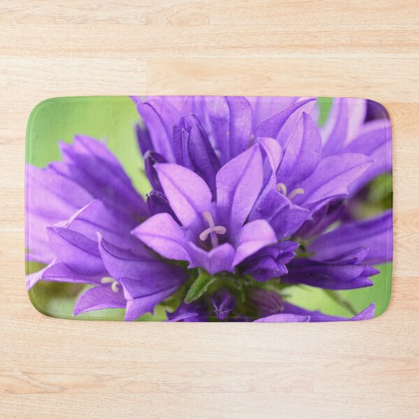Item preview, Campanula glomerata  Clustered bellflower  designed and sold by Chris Burrows.