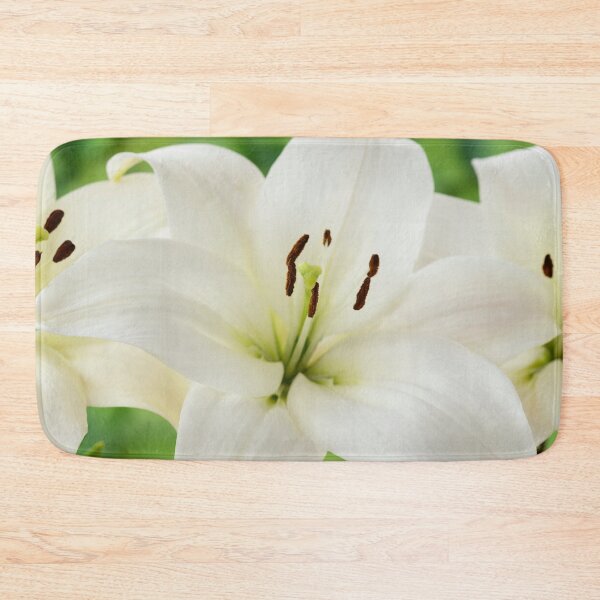 Item preview, Lilium  'Blizzard'  Asiatic lily  syn. Lilium  Apollo  designed and sold by Chris Burrows.